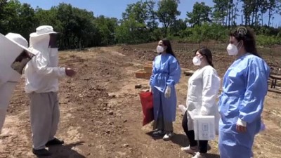 saglik calisanlari - BİNGÖL - Bup Dağı'nı aşan sağlık ekipleri 1700 rakımdaki Kartal Yaylası'nda arıcıları aşıladı Videosu