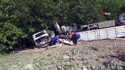 tir soforu -  Büyükbaş kurbanlık hayvan taşıyan tır devrildi: 1 kişi hayatını kaybetti Videosu