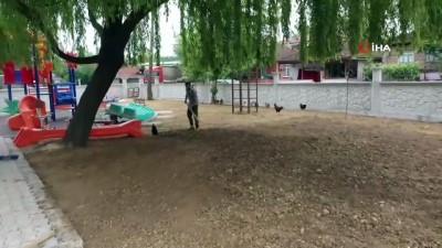 basketbol maci -  Görevi başındayken hayatını kaybeden muhtarın ismi parkta yaşatılacak Videosu