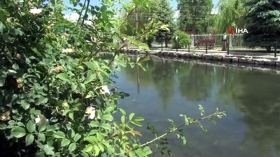 kis mevsimi -  Her yer kuruyor, bu gölün su seviyesi artıyor Videosu