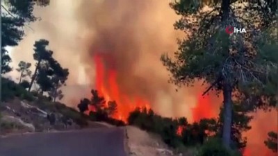 hamile kadin -  - Kudüs'te çıkan yangında 2 bin 650 dönüm arazi kül oldu Videosu