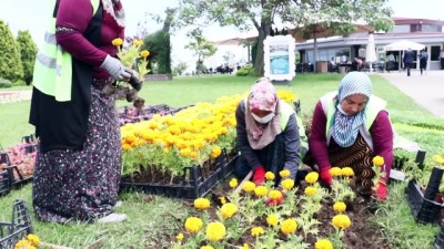 SAMSUN - Çöpten elde edilen enerjiyle ısıtılan serada yetiştirilen çiçekler şehri süslemeye başladı