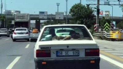 ilginc goruntu -  Trafikte ilginç görüntü: Uyuyan çocuğu arabanın arka camına yatırdı Videosu