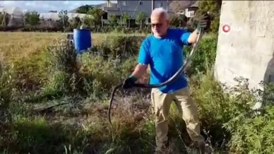 balikci agi -  Balıkçı ağına takılan kara yılan kurtarıldı Videosu
