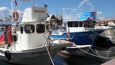 balik tezgahlari -  Marmara’daki müsilajdan kaçan çinekop Sinop’ta tutuldu Videosu