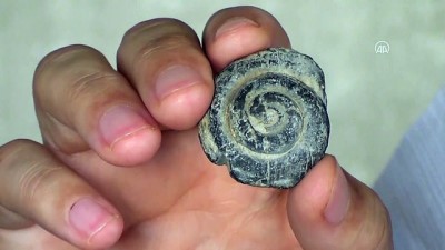 fosil - GAZİANTEP - Yol yapım çalışmaları esnasında bulunan parçanın salyangoz fosili olduğu değerlendiriliyor Videosu