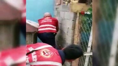 kopek -  Isparta’da yılan operasyonu Videosu