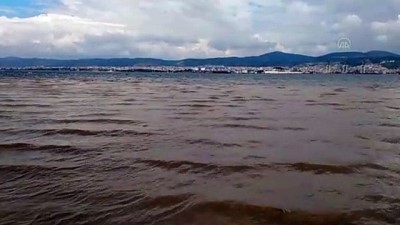 yagisli hava - KOCAELİ - Yağış sonrası oluşan çamurlu su denizin rengini değiştirdi Videosu