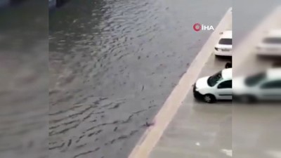  Yağmur sonrası araçta mahsur kalan vatandaşı halat yardımıyla yüzerek böyle kurtardı