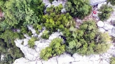keci -  1 haftadır kayıp olan keçiler drone ile bulundu Videosu
