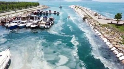 dalis turizmi - İSTANBUL - Müsilaj 'ekmeğini' denizden kazananları da olumsuz etkiledi (1) Videosu