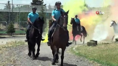 kacak kazi -  JAKEM’de eğitilen atlar Türkiye’nin çeşitli illerinde emniyet ve asayişi sağlıyor Videosu