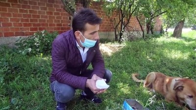 gorme engelli - KASTAMONU - Kanala atılan görme engelli köpeğe treyler operatörü sahip çıktı Videosu