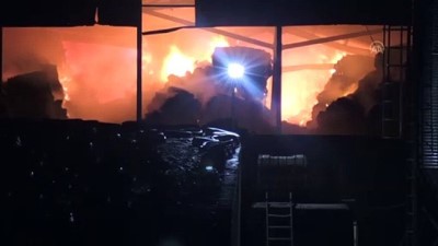 KIRKLARELİ - Büyükbaş hayvan çiftliğinde yangın çıktı