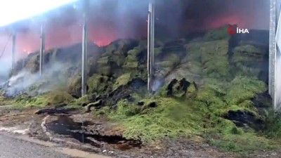 guvenli bolge -  Kırklareli’nde çiftlikte çıkan yangının soğutma çalışmaları devam ediyor Videosu