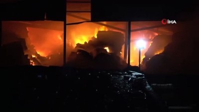 buyukbas hayvan -  Kırklareli’nde hayvan çiftliğinde yangın Videosu