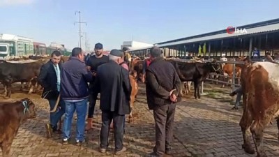  Kurban pazarında hareketlilik başladı