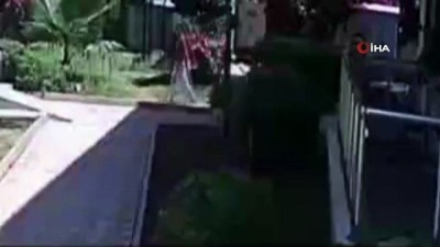 yavru kedi -  Site bahçesinde bulunan kediyi defalarda havaya atarak yere düşürdü Videosu