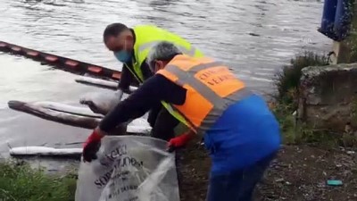 yagmur suyu - KOCAELİ - Kilez Deresi'ne atık su döken firmaya ceza kesildi Videosu