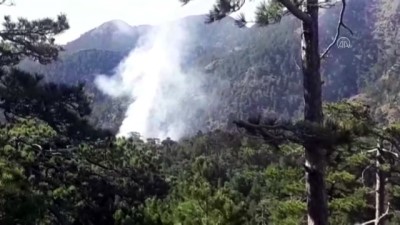 yildirim dusmesi - MUĞLA - Fethiye'de çıkan orman yangınında 5 dekarlık alan zarar gördü Videosu