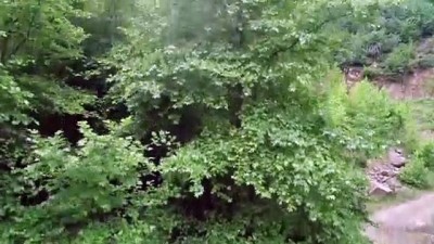 ilkbahar - TEKİRDAĞ - Ganos Dağı eteklerindeki ormanlar ziyaretçilerine görsel şölen sunuyor Videosu