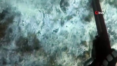 batin -  Müsilajın deniz altındaki tahribatı böyle görüntülendi Videosu