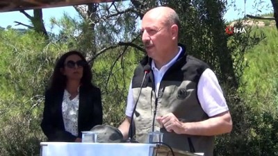 altin -  AK Partili Çelik: “Ayvalıklılar bizlere özür ve teşekkür borçlu” Videosu