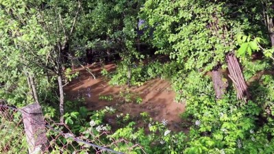 saganak - BOLU - Sağanak su baskınlarına neden oldu Videosu