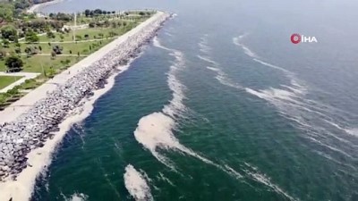 musilaj -   Müsilaj, Avcılar sahilinde de görüldü Videosu