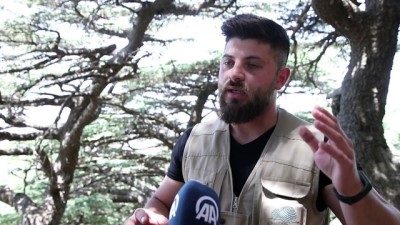 medeniyetler - BEYRUT - Lübnan'ın en önemli milli sembolü 'sedir' ağacından oluşan ormanlar iklim değişikliğinin tehdidi altında (2) Videosu