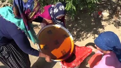 kazanci -  Coğrafi işaret alan Sivan Dut pekmezinin tatlı yolculuğu başladı Videosu