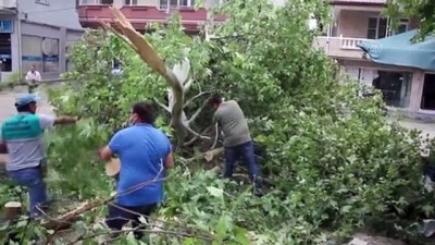 cinar agaci - MANİSA - Sağanak ve fırtına hayatı olumsuz etkiledi Videosu