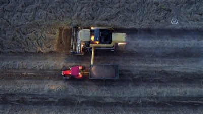 gubre - Mardin'de bu sezon 800 bin ton buğday üretildi Videosu