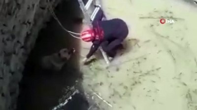 dogal afet -  Su dolu kuyuya düşen köpeği itfaiye kurtardı Videosu