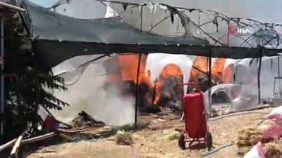 barla -  Süs bitkileri serasındaki yangın korkuttu Videosu