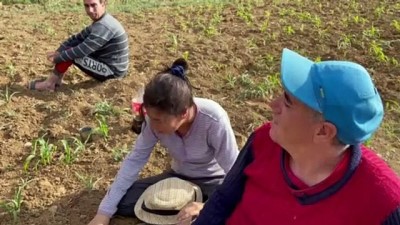 dogus - BİNGÖL - Ömrünü 3 engelli çocuğuna adayan 'Altın' anne Videosu