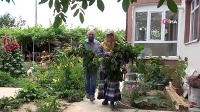 hibe destegi -  Büyükşehirden taşındılar, evlerinin bahçesinde ipekböceği yetiştiriyorlar Videosu