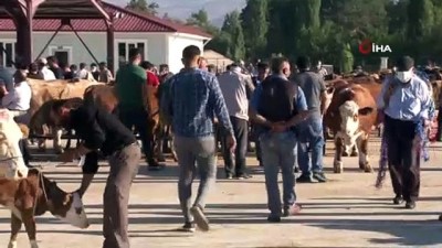 kurban pazari -  Erzincan’da kurban pazarında hareketlilik başladı Videosu