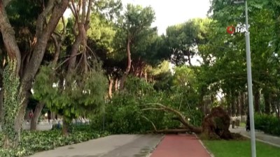 saganak -  Ödemiş ve Kiraz’da fırtına etkili oldu: Çatılar uçtu, ağaçlar devrildi Videosu