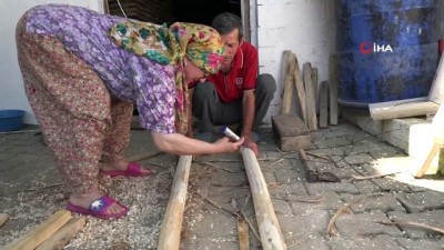 emekli -  Zeytin merdiveninin son temsilcisi Videosu