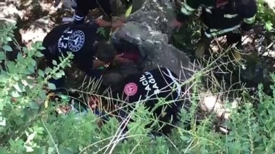 korkuluk - BAYBURT - Nehir kenarına düşen otomobil, duvar ile ağaç arasına sıkıştı: 2 yaralı Videosu