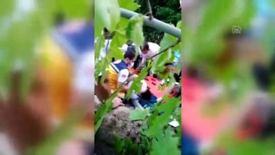kirkoy - İSTANBUL - Bakırköy'de ağaç devrilmesi sonucu bir kişi yaralandı Videosu