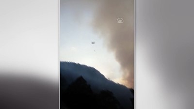 MERSİN - Çıkan orman yangınına havadan ve karadan müdahale ediliyor