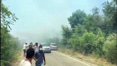 makilik alan - MUĞLA - Orman ve makilik alanda yangın başladı (2) Videosu