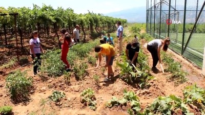 okul bahcesi -  Okul bahçesinde sebze yetiştirip okula gelir sağlayacaklar Videosu