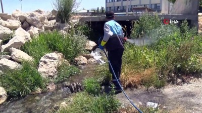 kayali -  Van Büyükşehir Belediyesi'nin erken tedbiri sinek popülasyonunu azalttı Videosu