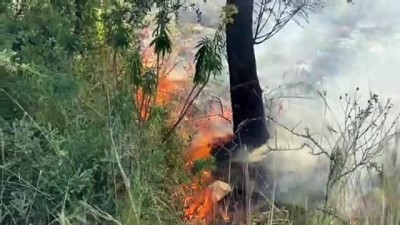 yukselen - ANTALYA - Kaş'ta orman yangını Videosu