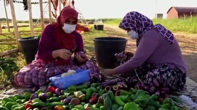 bakanlik - GAZİANTEP - Varank: 'Girişimcilerimizi ve yatırımcılarımızı her alanda desteklemeye devam ediyoruz' Videosu