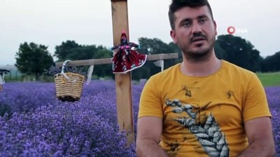 kirac -  Genç girişimci, kıraç tarlaya ektiği lavantalarla görsel şölen sundu Videosu