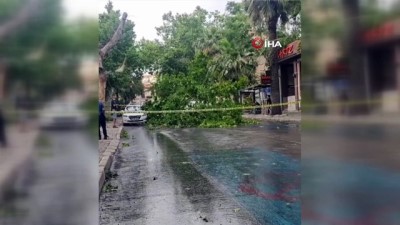 meteoroloji -  İzmir’i fırtına vurdu Videosu